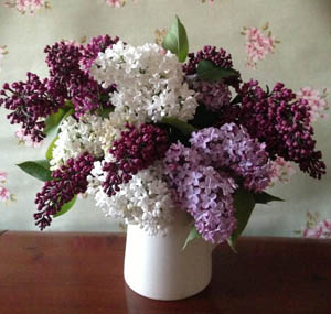 Lilac corporate flowers by Greenacre Flowers Exeter 300